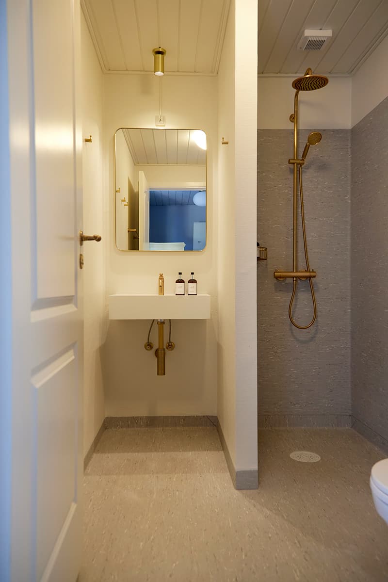 Bathroom with sind shower and toilet in white, grey and bras colours