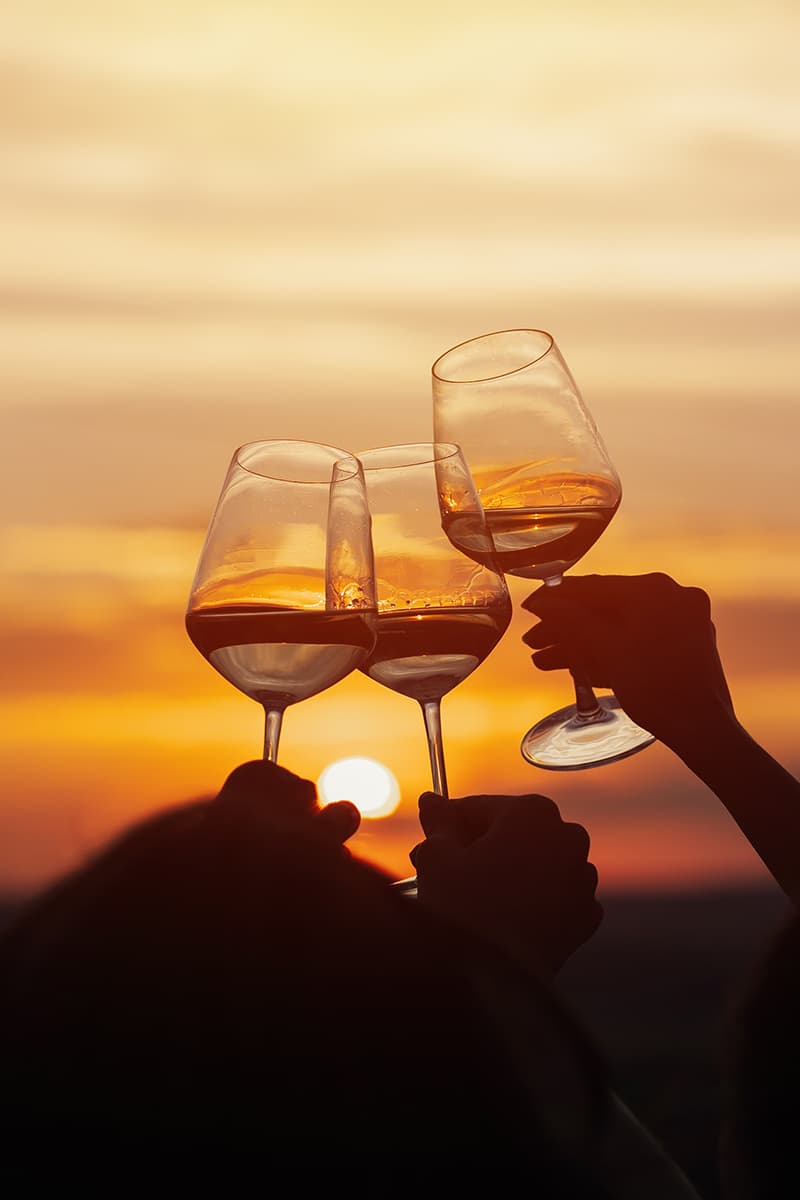 Cheering with wines in the sunset on the terrace of the conference hotel bornholm